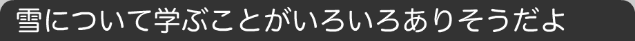 雪について学ぶことがいろいろありそうだよ